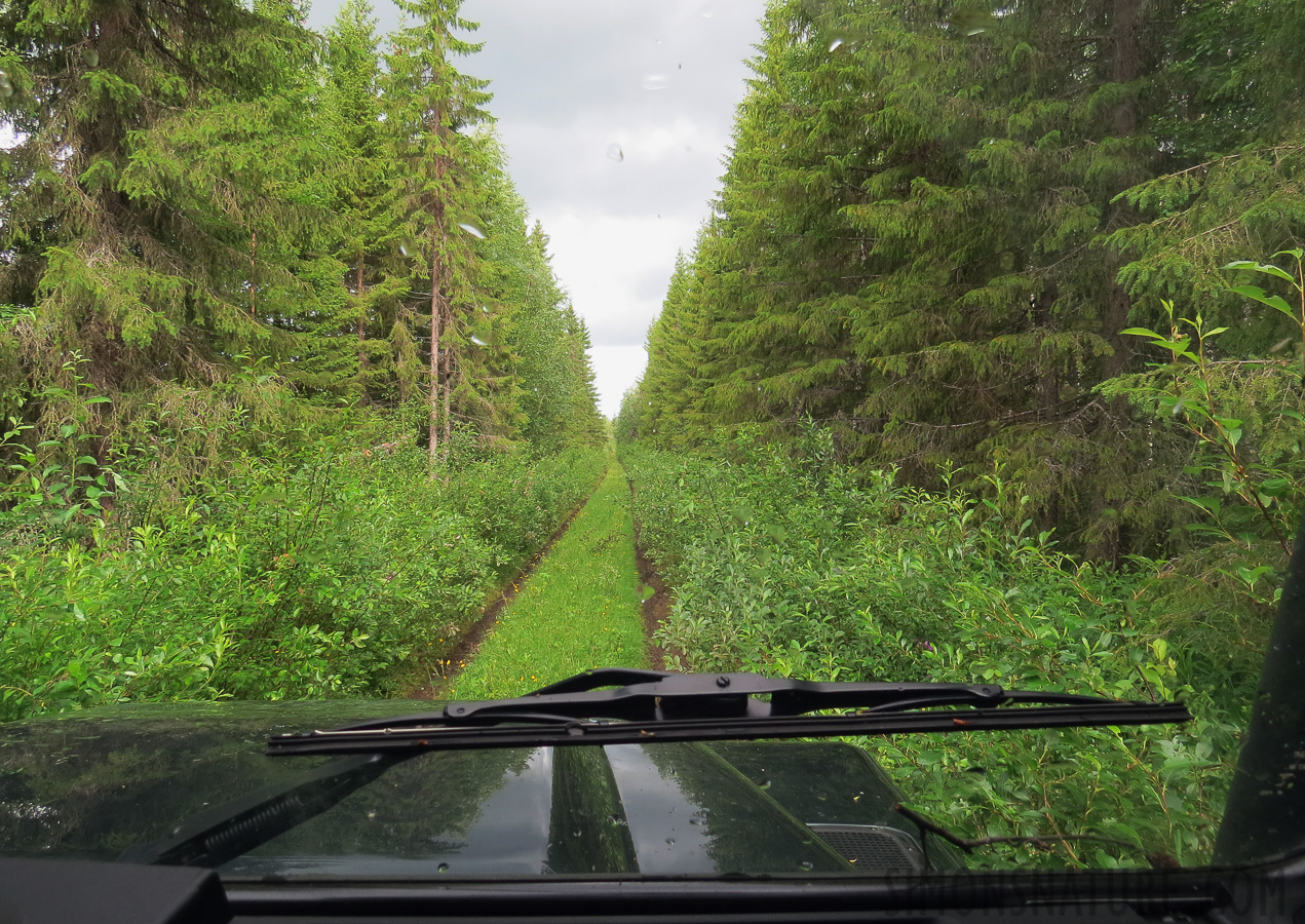 Schweden -  [4.3 mm, 1/60 sec at f / 4.0, ISO 160]